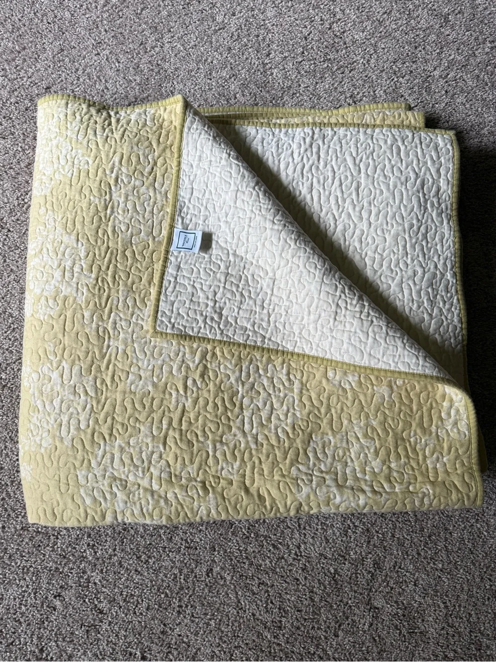 Waverly Home Queen Quilted Bedspread